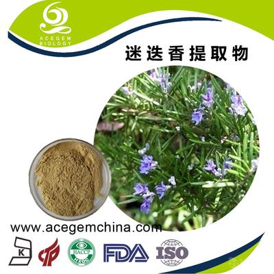 專業迷迭香提取物 中國蕪湖艾森格，天然香料的卓越之選