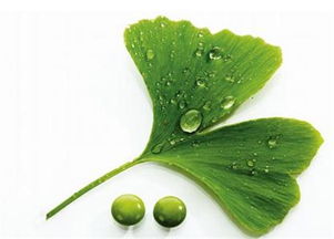 天然健康 驅(qū)動(dòng)植物提取物行業(yè)發(fā)展的核心動(dòng)力